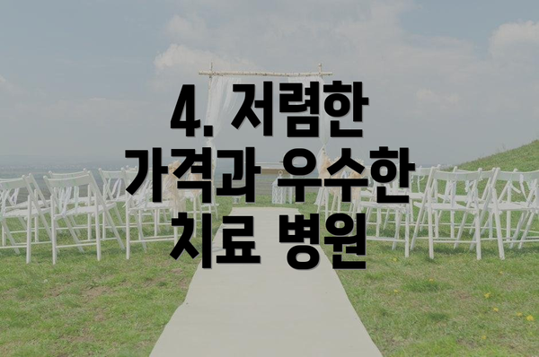 4. 저렴한 가격과 우수한 치료 병원