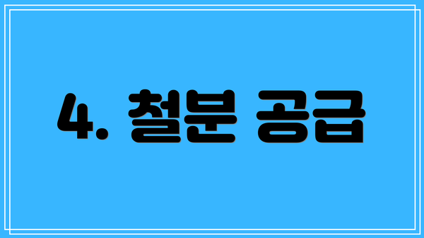4. 철분 공급