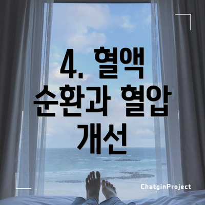 4. 혈액 순환과 혈압 개선