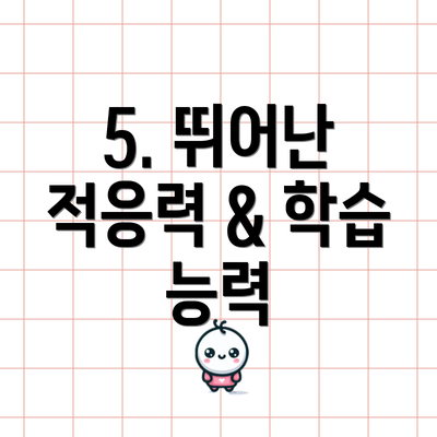 5. 뛰어난 적응력 & 학습 능력