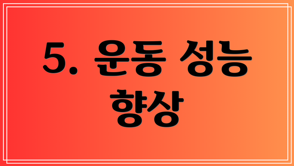 5. 운동 성능 향상