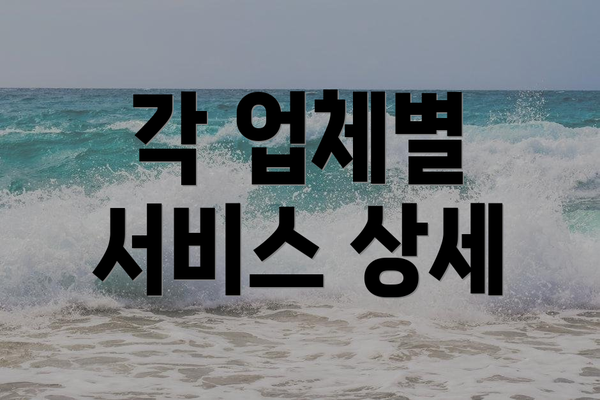 각 업체별 서비스 상세