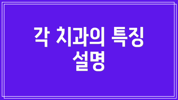 각 치과의 특징 설명