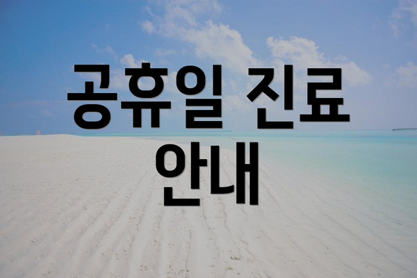 공휴일 진료 안내