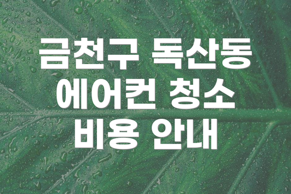 금천구 독산동 에어컨 청소 비용 안내