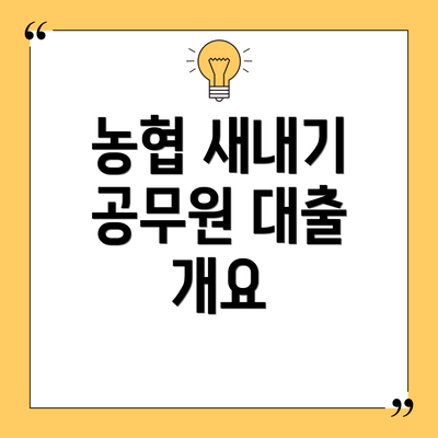 농협 새내기 공무원 대출 개요