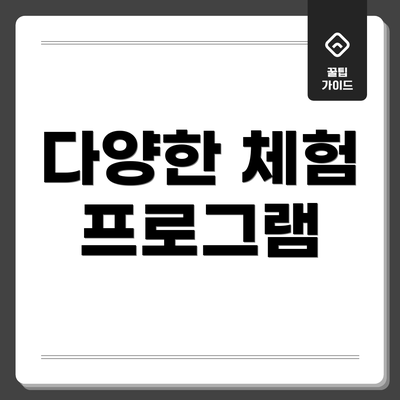 다양한 체험 프로그램