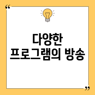 다양한 프로그램의 방송