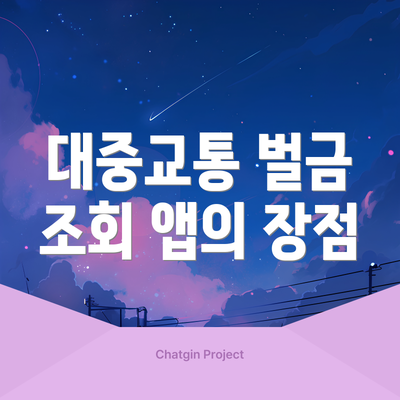 대중교통 벌금 조회 앱의 장점