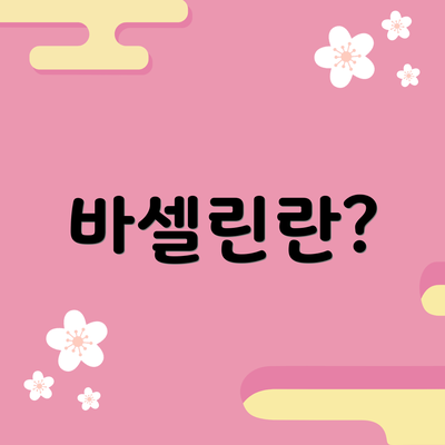 바셀린란?