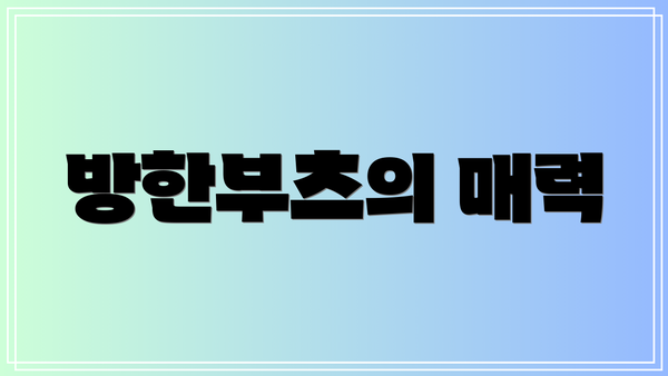 방한부츠의 매력