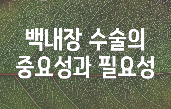 백내장 수술의 중요성과 필요성