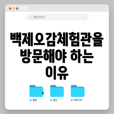 백제오감체험관을 방문해야 하는 이유