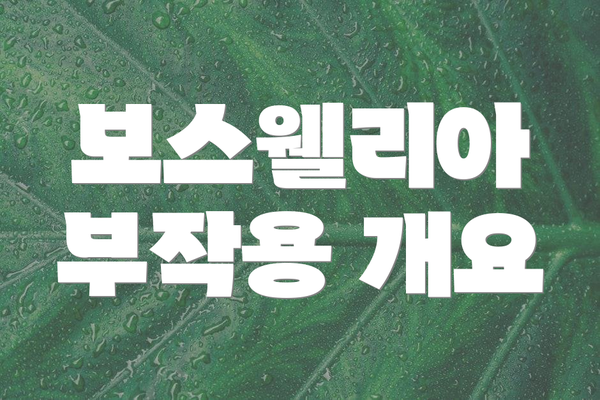 보스웰리아 부작용 개요