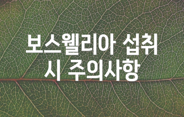 보스웰리아 섭취 시 주의사항