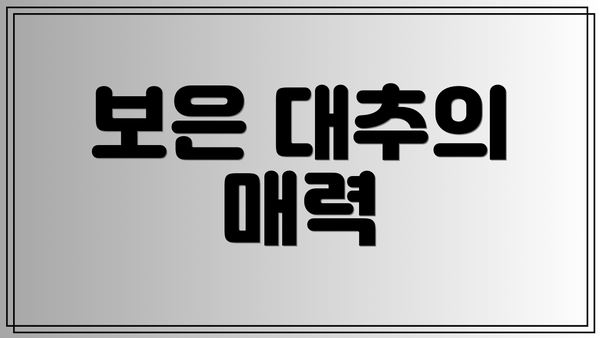 보은 대추의 매력