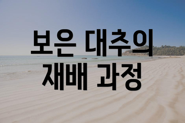 보은 대추의 재배 과정