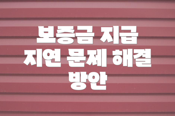 보증금 지급 지연 문제 해결 방안