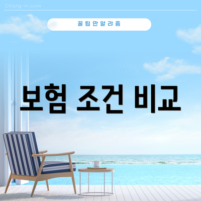 보험 조건 비교