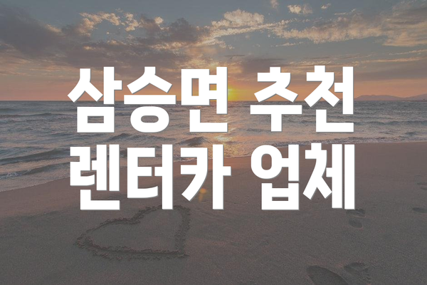 삼승면 추천 렌터카 업체