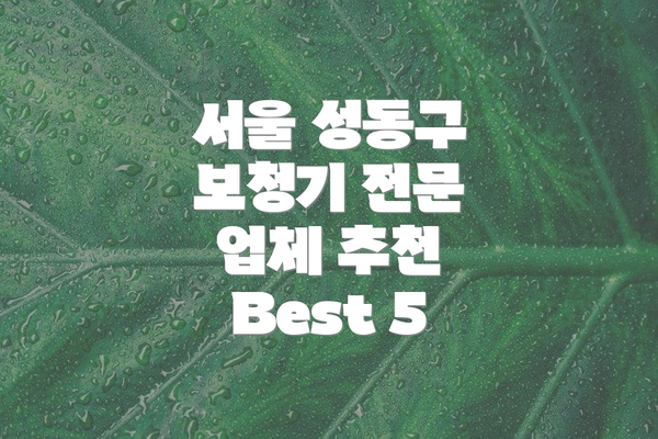 서울 성동구 보청기 전문 업체 추천 Best 5
