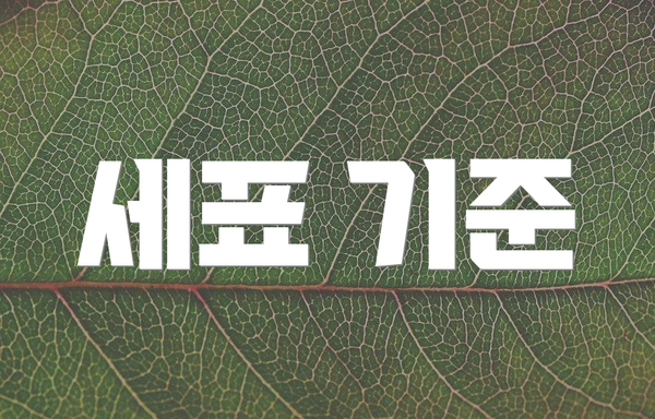 세표 기준