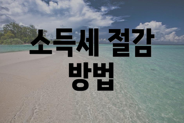 소득세 절감 방법