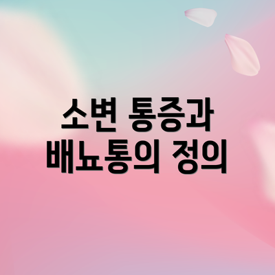 소변 통증과 배뇨통의 정의