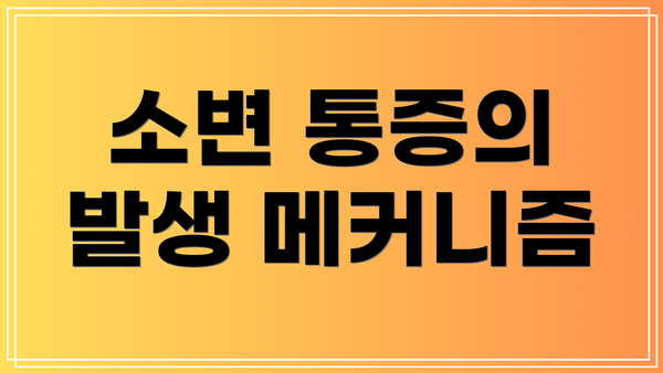 소변 통증의 발생 메커니즘