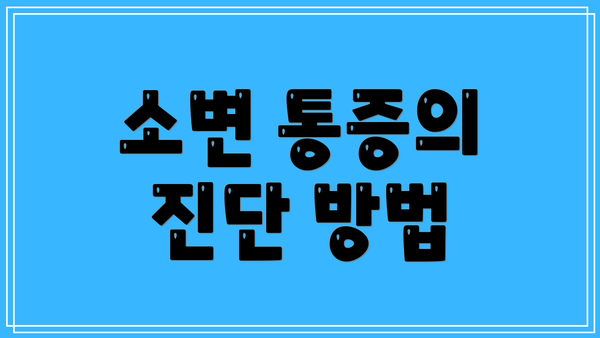 소변 통증의 진단 방법