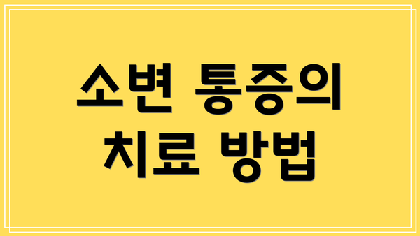소변 통증의 치료 방법