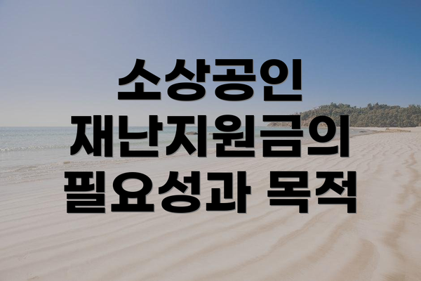 소상공인 재난지원금의 필요성과 목적
