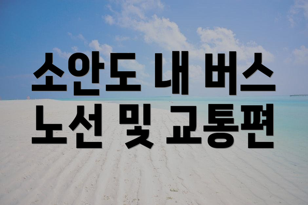 소안도 내 버스 노선 및 교통편