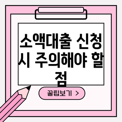 소액대출 신청 시 주의해야 할 점