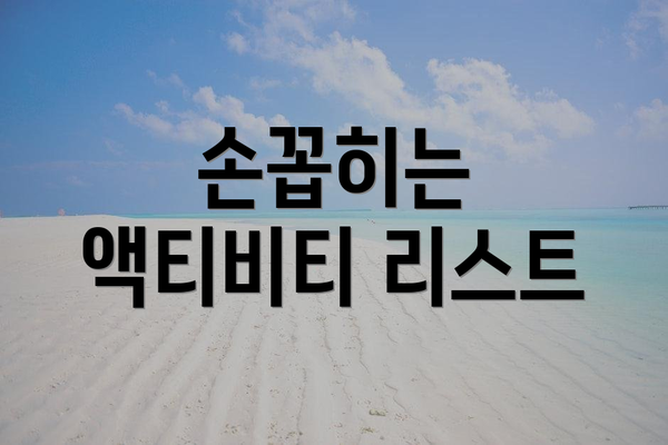 손꼽히는 액티비티 리스트