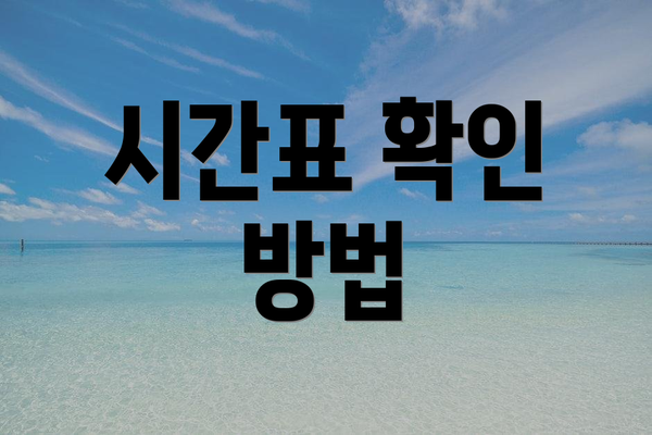 시간표 확인 방법