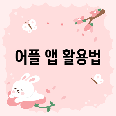 어플 앱 활용법