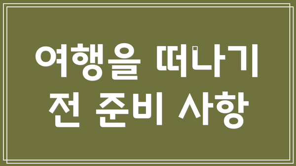 여행을 떠나기 전 준비 사항