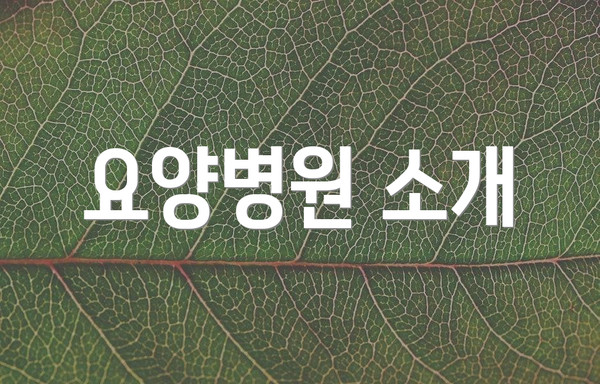요양병원 소개