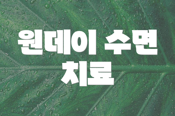원데이 수면 치료
