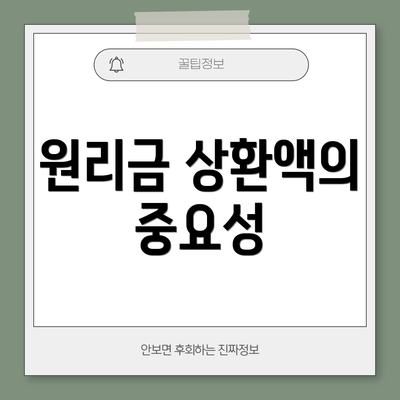 원리금 상환액의 중요성