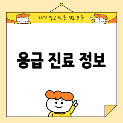 응급 진료 정보