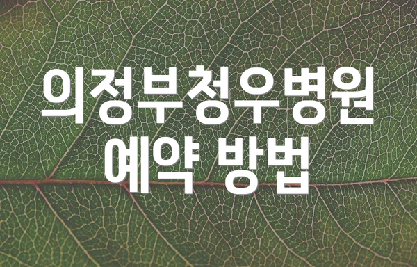 의정부청우병원 예약 방법