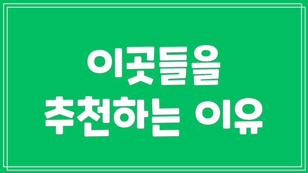 이곳들을 추천하는 이유