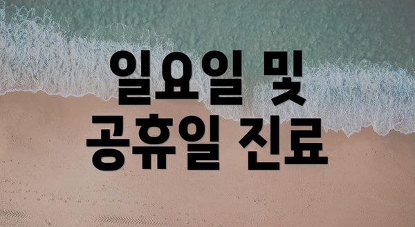 일요일 및 공휴일 진료
