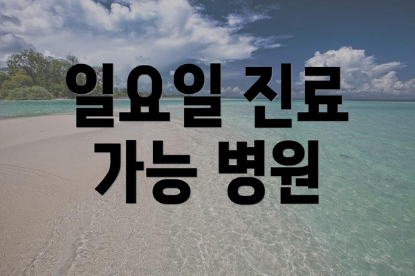 일요일 진료 가능 병원