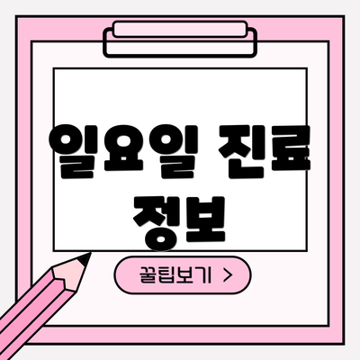 일요일 진료 정보