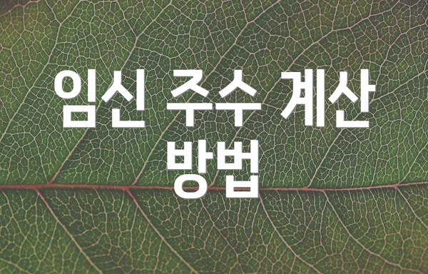 임신 주수 계산 방법