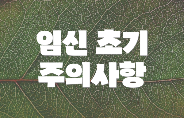 임신 초기 주의사항