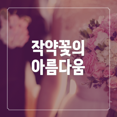 작약꽃의 아름다움